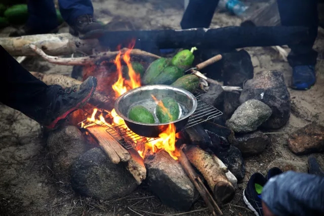 1548399646978712.jpg 1548399646978712.jpg