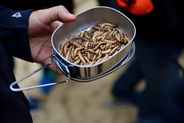 1548399825876848.jpg 640.webp (74).jpg