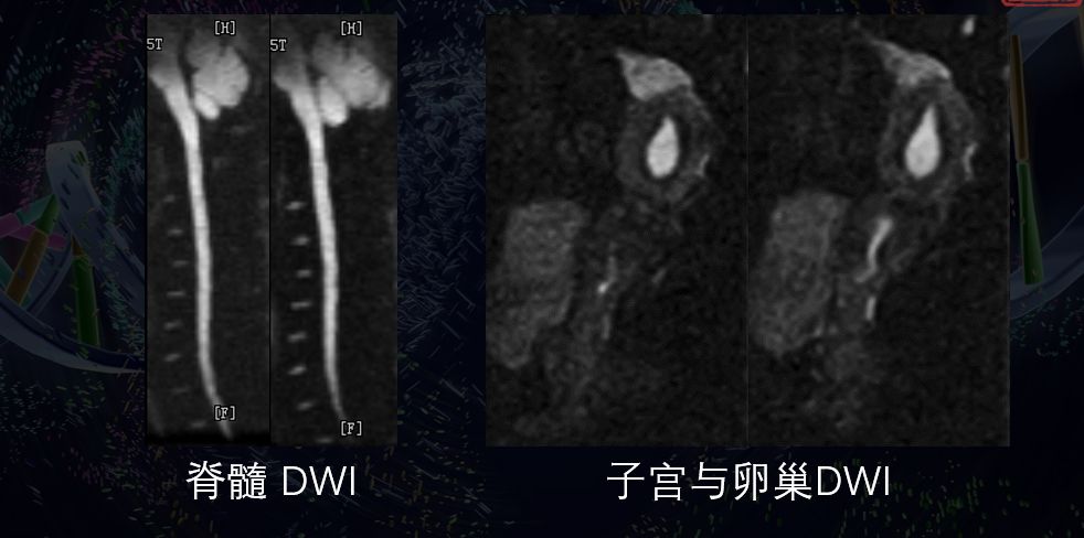 1563181113560909.jpg 19.jpg